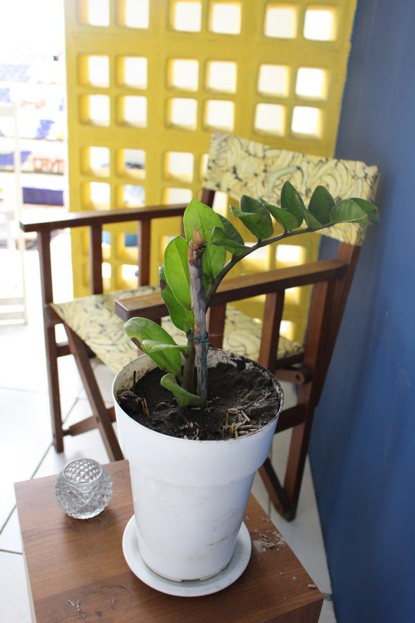 Red River Hostel 萨尔瓦多 外观 照片